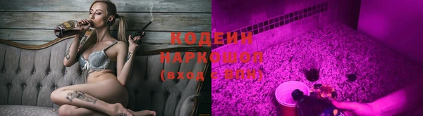 прущие грибы Ростов