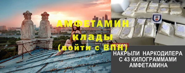 прущие грибы Ростов