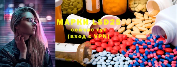 прущие грибы Ростов