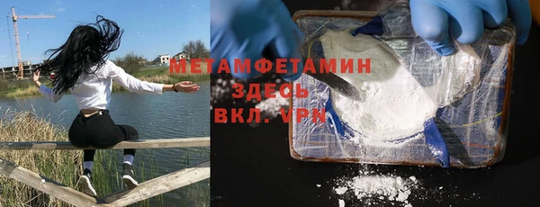 прущие грибы Ростов