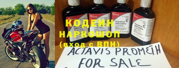 прущие грибы Ростов